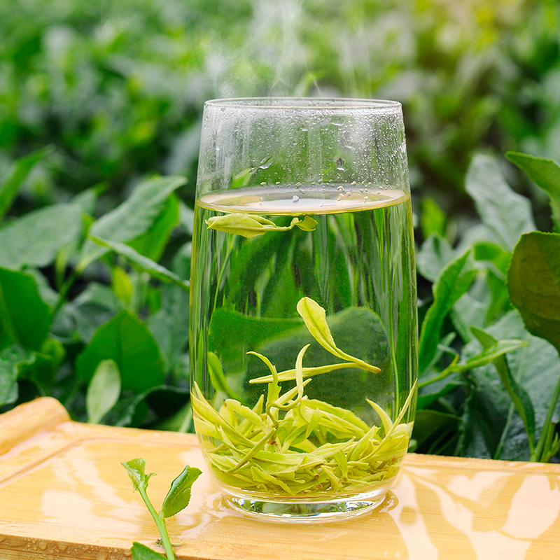 绿茶> 安吉/正安白茶 2020年侗乡福绿茶贵州茶叶黎平白叶茶游芳翠500g