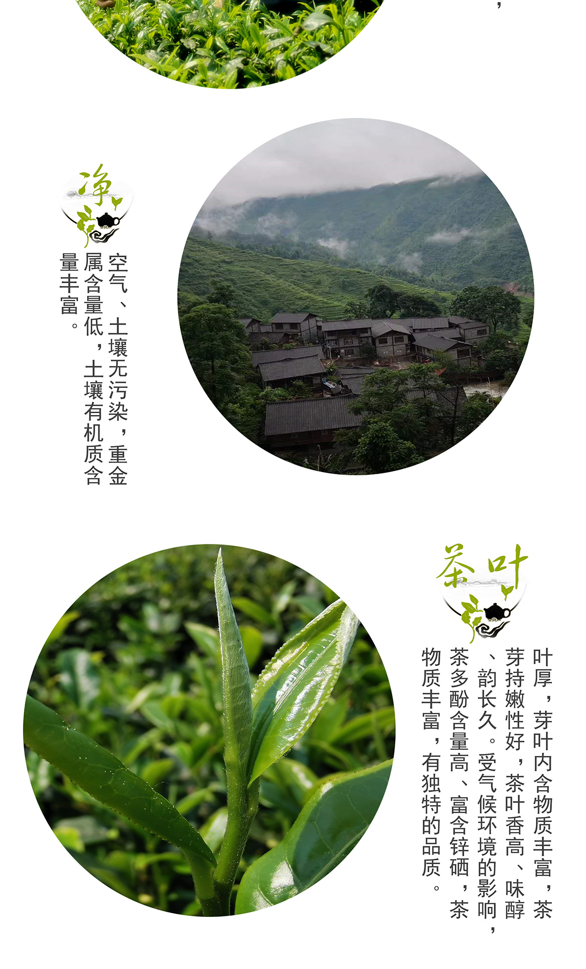 介绍 包装清单 商品评价 售后保障 商品名称:普安红布依人家工夫红茶